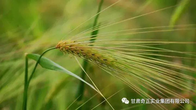 EON4首页-意昂4·(中国区)官方直营平台!
