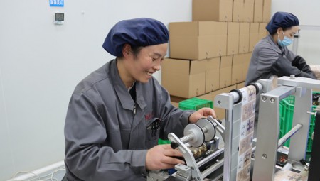 陇西意昂4官网