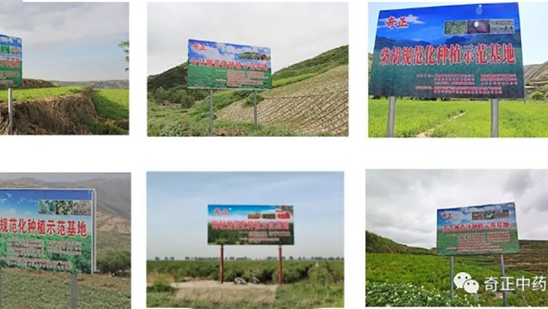 陇西意昂4官网药材有限责任公司入选第一批国家中药材标准化与质量评估创新联盟GAP重点培育单位