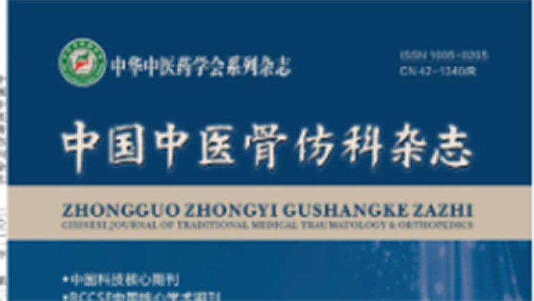 意昂4官网白脉软膏时效性研究见刊核心期刊《中国中医骨伤科杂志》